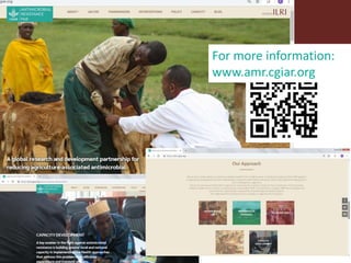 Reducing transmission in the food chain