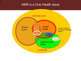Reducing transmission in the food chain
