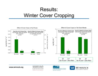 www.winrock.org
Results:
Winter Cover Cropping
22 3.7
lbs N acre-1 (Nov-Mar)
36 32
lbs N acre-1 (Dec-Mar)
 