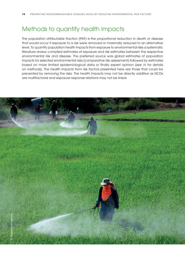 Reducing environmental risks to prevent NCDs.pdf