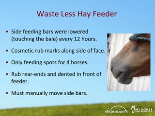 horse hay bolsa feeders