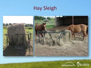 horse hay bolsa feeders