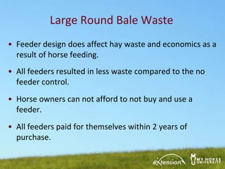 horse hay bolsa feeders