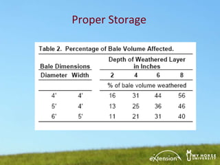 round bale storage bolsas