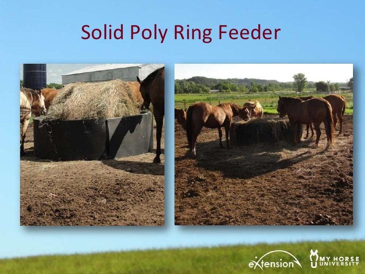 Reducing Hay Waste Martinson