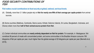 FOOD SECURITY CONTRIBUTIONS OF
FISH
Fish makes crucial contributions to food security at global, national, and local level...