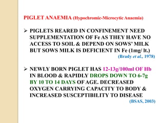 PIGLET ANAEMIA (Hypochromic-Microcytic Anaemia)
 PIGLETS REARED IN CONFINEMENT NEED
SUPPLEMENTATION OF Fe AS THEY HAVE NO
ACCESS TO SOIL & DEPEND ON SOWS’ MILK
BUT SOWS MILK IS DEFICIENT IN Fe (1mg/ lt.)
(Brady et al., 1978)
 NEWLY BORN PIGLET HAS 12-13g/100ml OF Hb
IN BLOOD & RAPIDLY DROPS DOWN TO 6-7g
BY 10 TO 14 DAYS OF AGE. DECREASED
OXYGEN CARRYING CAPACITY TO BODY &
INCREASED SUSCEPTIBILITY TO DISEASE
(BSAS, 2003)
 