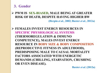 3. Gender
 PWM IS SEX-BIASED, MALE BEING AT GREATER
RISK OF DEATH, DESPITE HAVING HIGHER BW
(Herpin et al., 2002; Baxter et al., 2012a)
 FEMALES INVEST ENERGY RESOURCES IN
SPECIFIC PHYSIOLOGICAL SYSTEMS
(THERMOREGULATION & IMMUNO
COMPETENCE), MALES INVEST ENERGY
RESOURCE IN BODY SIZE & BODY COMPOSITION
(REPRODUCTIVE FITNESS IN ADULTHOOD),
PREDISPOSING MALE TO CAUSAL MORTALITY
FACTORS ASSOCIATED WITH ENERGETIC
DEMANDS (CHILLING, STARVATION, CRUSHING
OR EVEN DISEASE).
Baxter et al. (2012a)
 