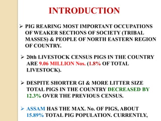  PIG REARING MOST IMPORTANT OCCUPATIONS
OF WEAKER SECTIONS OF SOCIETY (TRIBAL
MASSES) & PEOPLE OF NORTH EASTERN REGION
OF COUNTRY.
 20th LIVESTOCK CENSUS PIGS IN THE COUNTRY
ARE 9.06 MILLION Nos. (1.8% OF TOTAL
LIVESTOCK).
 DESPITE SHORTER GI & MORE LITTER SIZE
TOTAL PIGS IN THE COUNTRY DECREASED BY
12.3% OVER THE PREVIOUS CENSUS.
 ASSAM HAS THE MAX. No. OF PIGS, ABOUT
15.89% TOTAL PIG POPULATION. CURRENTLY,
INTRODUCTION
 