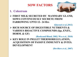 SOW FACTORS
1. Colostrum
 FIRST MILK SECRETED BY MAMMARY GLAND,
SOWS CONTINUOUSLY SECRETE FROM
FARROWING UPTO 12– 24 Hrs
(Quesnel et al.,2012)
 RICH SOURCE OF DIGESTIBLE NUTRIENTS &
VARIOUS BIOACTIVE COMPOUNDS (Igs, ENZY.,
HORM. & GF)
(Rookeand Bland, 2002; Wu et al., 2010)
 KEY ROLE IN PIGLET THERMOREGULATION,
ACQUISITION OF PASSIVE IMMUNITY & INTES.
DEVELOPMENT
(Devillers et al., 2007)
 