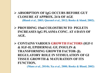  ABSORPTION OF IgG OCCURS BEFORE GUT
CLOSURE AT APPROX. 24 h OF AGE
(Bland et al., 2003; Quesnel et al., 2012; Rooke & bland, 2002).
 PROVIDING 15ml COLOSTRUM TO PIGLETS
INCREASES IgG PLASMA CONC. AT 4 DAYS OF
AGE.
 CONTAINS VARIOUS GROWTH FACTORS (IGF-I
& IGF-II, EPIDERMAL GF, INSULIN &
TRANSFORMING GROWTH FACTOR- β).
REGULATORY ROLE IN STIMULATION OF GI
TISSUE GROWTH & MATURATION OF ITS
FUNCTION.
(Muns et al., 2014b; Xu et al., 2000; Rooke & Bland, 2002)
 