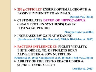  250 g CI/PIGLET ENSURE OPTIMAL GROWTH &
PASSIVE IMMUNITY TO ANIMALS.
Quesnel et al. (2012)
 CI STIMULATES DEVEP. OF HIPPOCAMPUS
(BRAIN PROTEIN SYNTHESIS) EARLY
POSTNATAL PERIOD.
Pierzynowski et al. (2014)
 INCREASES BW GAIN AT WEANING
(Decaluwé et al.,2014; Devillers et al., 2004; le Dividich et al., 2005)
 FACTORS INFLUENCE CI: PIGLET VITALITY,
BIRTH ORDER, NO. OF PIGLETS BORN
ALIVE/LITTER & SOW NUTRITION
(Quesnel et al., 2012; Nuntapaitoon et al., 2014a,b; Theil et al., 2014a)
 ABILITY OF PIGLETS TO REACH UDDER &
SUCKLE INCREASES CI
(Amdi et al., 2013)
 