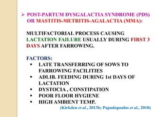  POST-PARTUM DYSGALACTIA SYNDROME (PDS)
OR MASTITIS-METRITIS-AGALACTIA (MMA):
MULTIFACTORIAL PROCESS CAUSING
LACTATION FAILURE USUALLY DURING FIRST 3
DAYS AFTER FARROWING.
FACTORS:
 LATE TRANSFERRING OF SOWS TO
FARROWING FACILITIES
 ADLIB. FEEDING DURING 1st DAYS OF
LACTATION
 DYSTOCIA , CONSTIPATION
 POOR FLOOR HYGIENE
 HIGH AMBIENT TEMP.
(Kirkden et al., 2013b; Papadopoulos et al., 2010)
 