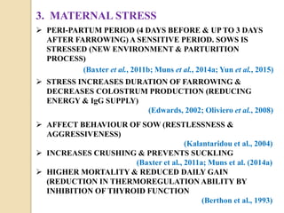 3. MATERNAL STRESS
 PERI-PARTUM PERIOD (4 DAYS BEFORE & UP TO 3 DAYS
AFTER FARROWING) A SENSITIVE PERIOD. SOWS IS
STRESSED (NEW ENVIRONMENT & PARTURITION
PROCESS)
(Baxter et al., 2011b; Muns et al., 2014a; Yun et al., 2015)
 STRESS INCREASES DURATION OF FARROWING &
DECREASES COLOSTRUM PRODUCTION (REDUCING
ENERGY & IgG SUPPLY)
(Edwards, 2002; Oliviero et al., 2008)
 AFFECT BEHAVIOUR OF SOW (RESTLESSNESS &
AGGRESSIVENESS)
(Kalantaridou et al., 2004)
 INCREASES CRUSHING & PREVENTS SUCKLING
(Baxter et al., 2011a; Muns et al. (2014a)
 HIGHER MORTALITY & REDUCED DAILY GAIN
(REDUCTION IN THERMOREGULATION ABILITY BY
INHIBITION OF THYROID FUNCTION
(Berthon et al., 1993)
 