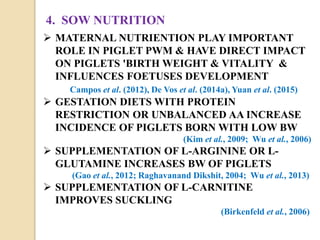 4. SOW NUTRITION
 MATERNAL NUTRIENTION PLAY IMPORTANT
ROLE IN PIGLET PWM & HAVE DIRECT IMPACT
ON PIGLETS 'BIRTH WEIGHT & VITALITY &
INFLUENCES FOETUSES DEVELOPMENT
Campos et al. (2012), De Vos et al. (2014a), Yuan et al. (2015)
 GESTATION DIETS WITH PROTEIN
RESTRICTION OR UNBALANCED AA INCREASE
INCIDENCE OF PIGLETS BORN WITH LOW BW
(Kim et al., 2009; Wu et al., 2006)
 SUPPLEMENTATION OF L-ARGININE OR L-
GLUTAMINE INCREASES BW OF PIGLETS
(Gao et al., 2012; Raghavanand Dikshit, 2004; Wu et al., 2013)
 SUPPLEMENTATION OF L-CARNITINE
IMPROVES SUCKLING
(Birkenfeld et al., 2006)
 