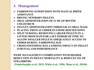 3. Management
 FARROWING SUPERVISION WITH MANUAL BIRTH
ASSISTANCE
 DRYING NEWBORN PIGLETS
 ORALADMINISTRATION OF 12 ML OF BOVINE
COLOSTRUM
 OXYGEN ADMINISTRATION THROUGH AN ORAL MASK
 PLACING THEM AT UDDER IN LOOSE-HOUSED SOWS
 SPLIT NURSING: REMOVING LARGER PIGLETS IN A
LITTER FROM DAM FOR A SET PERIOD OF TIME TO
ALLOW SMALLER PIGLETS ADEQUATELY ACCESS TO
UDDER DURING FARROWING DAY
 CROSS-FOSTERING HAS A STRONG IMPACT ON PIGLET
SURVIVALAND PERFORMANCE
WERE MANAGEMENT COMBINATION WITH HIGHER
REDUCTION IN PIGLET MORTALITY & REDUCES NO. OF
STILLBIRTHS.
(Vanderhaeghe et al., 2013; White et al., 1996; Muns et al., 2014b)
 
