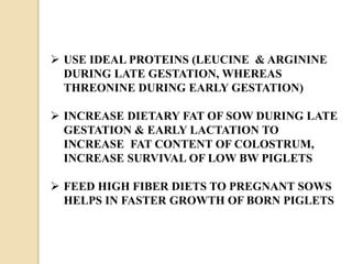  USE IDEAL PROTEINS (LEUCINE & ARGININE
DURING LATE GESTATION, WHEREAS
THREONINE DURING EARLY GESTATION)
 INCREASE DIETARY FAT OF SOW DURING LATE
GESTATION & EARLY LACTATION TO
INCREASE FAT CONTENT OF COLOSTRUM,
INCREASE SURVIVAL OF LOW BW PIGLETS
 FEED HIGH FIBER DIETS TO PREGNANT SOWS
HELPS IN FASTER GROWTH OF BORN PIGLETS
 