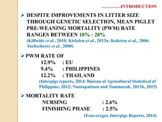  DESPITE IMPROVEMENTS IN LITTER SIZE
THROUGH GENETIC SELECTION, MEAN PIGLET
PRE-WEANING MORTALITY (PWM) RATE
RANGES BETWEEN 10% - 20%
(Kilbride et al., 2010; Kirkden et al., 2013a; Koketsu et al., 2006;
Tuchscherer et al., 2000)
………….INTRODUCTION
PWM RATE OF
12.9% : EU
9.4% : PHILIPPINES
12.2% : THAILAND
(Interpigs reports, 2014; Bureau of Agricultural Statistical of
Philippine, 2012; Nuntapaitoon and Tummaruk, 2013b, 2015)
 MORTALITY RATE
NURSING : 2.6%
FINISHING PHASE : 2.5%
(Euaverages, Interpigs Reports, 2014)
 