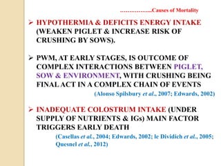  HYPOTHERMIA & DEFICITS ENERGY INTAKE
(WEAKEN PIGLET & INCREASE RISK OF
CRUSHING BY SOWS).
 PWM, AT EARLY STAGES, IS OUTCOME OF
COMPLEX INTERACTIONS BETWEEN PIGLET,
SOW & ENVIRONMENT, WITH CRUSHING BEING
FINALACT IN A COMPLEX CHAIN OF EVENTS
(Alonso Spilsbury et al., 2007; Edwards, 2002)
 INADEQUATE COLOSTRUM INTAKE (UNDER
SUPPLY OF NUTRIENTS & IGs) MAIN FACTOR
TRIGGERS EARLY DEATH
(Casellas et al., 2004; Edwards, 2002; le Dividich et al., 2005;
Quesnel et al., 2012)
……………...Causes of Mortality
 