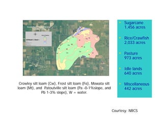 Crowley silt loam (Cw), Frost silt loam (Fo), Mowata silt
loam (Mt), and Patoutville silt loam (Pa -0-1%slope, and
Pb 1-3% slope), W = water.
• Sugarcane
1,456 acres
• Rice/Crawfish
2,033 acres
• Pasture
973 acres
• Idle lands
640 acres
• Miscellaneous
442 acres
Courtesy: NRCS
 