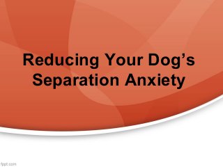 Reducing Your Dog’s
Separation Anxiety
 
