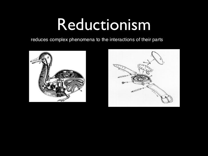 Reductionism vs holism