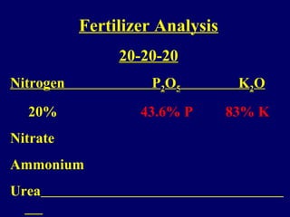 Fertilizer Analysis
20-20-20
Nitrogen P2O5 K2O
20% 43.6% P 83% K
Nitrate
Ammonium
Urea
 