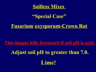 Soilless Mixes
“Special Case”
Fusarium oxysporum-Crown Rot
This fungus kills ferrocacti if soil pH is acid.
Adjust soil pH to greater than 7.0.
Lime!
 