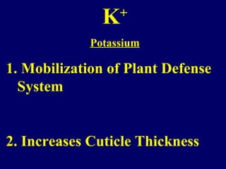 K+
Potassium
1. Mobilization of Plant Defense
System
2. Increases Cuticle Thickness
 