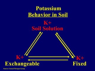 K+ K+
Exchangeable
Potassium
Fixed
Behavior in Soil
K+
Soil Solution
Source: Unocal Nitrogen Group
 