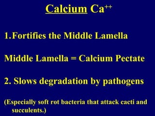 Calcium Ca++
1.Fortifies the Middle Lamella
Middle Lamella = Calcium Pectate
2. Slows degradation by pathogens
(Especially soft rot bacteria that attack cacti and
succulents.)
 