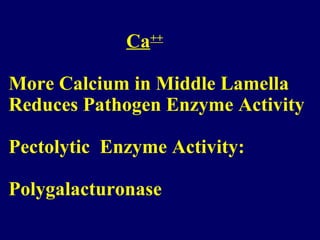 Ca++
More Calcium in Middle Lamella
Reduces Pathogen Enzyme Activity
Pectolytic Enzyme Activity:
Polygalacturonase
 