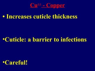 Cu++
- Copper
• Increases cuticle thickness
•Cuticle: a barrier to infections
•Careful!
 