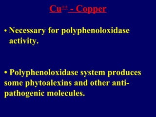 Cu++
- Copper
• Necessary for polyphenoloxidase
activity.
• Polyphenoloxidase system produces
some phytoalexins and other anti-
pathogenic molecules.
 