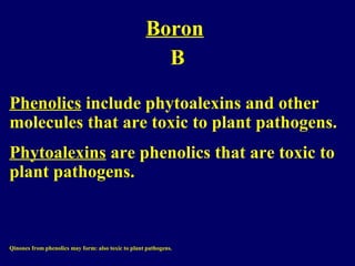 Boron
B
Phenolics include phytoalexins and other
molecules that are toxic to plant pathogens.
Phytoalexins are phenolics that are toxic to
plant pathogens.
Qinones from phenolics may form: also toxic to plant pathogens.
 
