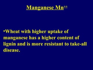 Manganese Mn++
•Wheat with higher uptake of
manganese has a higher content of
lignin and is more resistant to take-all
disease.
 