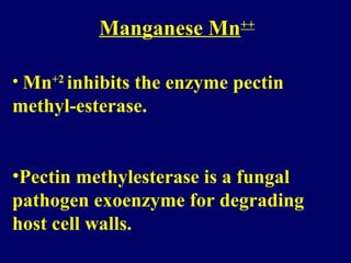 Manganese Mn++
• Mn+2
inhibits the enzyme pectin
methyl-esterase.
•Pectin methylesterase is a fungal
pathogen exoenzyme for degrading
host cell walls.
 