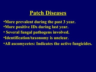 Patch Diseases
•More prevalent during the past 3 year.
•More positive IDs during last year.
• Several fungal pathogens involved.
•Identification/taxonomy is unclear.
•All ascomycetes: Indicates the active fungicides.
 
