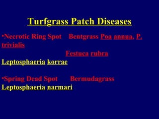 Turfgrass Patch Diseases
•Necrotic Ring Spot Bentgrass Poa annua, P.
trivialis
Festuca rubra
Leptosphaeria korrae
•Spring Dead Spot Bermudagrass
Leptosphaeria narmari
 