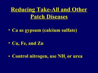 Reducing Take-All and Other
Patch Diseases
• Ca as gypsum (calcium sulfate)
• Cu, Fe, and Zn
• Control nitrogen, use NH4 or urea
 