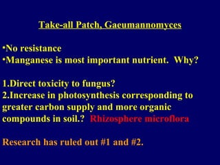 Take-all Patch, Gaeumannomyces
•No resistance
•Manganese is most important nutrient. Why?
1.Direct toxicity to fungus?
2.Increase in photosynthesis corresponding to
greater carbon supply and more organic
compounds in soil.? Rhizosphere microflora
Research has ruled out #1 and #2.
 