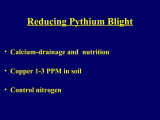 Reducing Pythium Blight
• Calcium-drainage and nutrition
• Copper 1-3 PPM in soil
• Control nitrogen
 