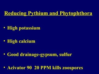 Reducing Pythium and Phytophthora
• High potassium
• High calcium
• Good drainage-gypsum, sulfur
• Acivator 90 20 PPM kills zoospores
 