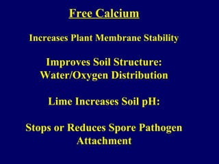 Free Calcium
Increases Plant Membrane Stability
Improves Soil Structure:
Water/Oxygen Distribution
Lime Increases Soil pH:
Stops or Reduces Spore Pathogen
Attachment
 