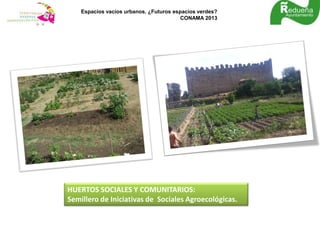 Espacios vacíos urbanos. ¿Futuros espacios verdes?
CONAMA 2013
HUERTOS SOCIALES Y COMUNITARIOS:
Semillero de Iniciativas de Sociales Agroecológicas.
 