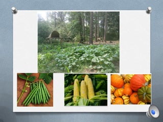 Redundancy principle 2