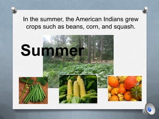 In the summer, the American Indians grew crops such as beans, corn, and squash. Summer