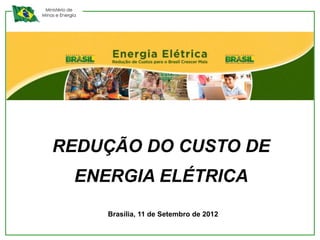 Ministério de
Minas e Energia




    REDUÇÃO DO CUSTO DE
              ENERGIA ELÉTRICA
                  Brasília, 11 de Setembro de 2012
 