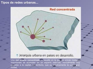 Red concentrada   Una  red urbana concentrada  es aquella en la que las únicas ciudades importantes se acumulan en un espacio reducido, normalmente muy pegadas a la capital del territorio, que es prácticamente la única gran ciudad.  Tipos de redes urbanas... 