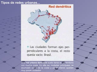 Red dendrítica Una  red urbana dentrítica  suele darse en un territorio con mucha costa. En ella las ciudades principales se acumulan cerca de la costa y en el interior quedan muy pocas ciudades.  Tipos de redes urbanas... 